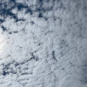 Meet your Posher, Layla